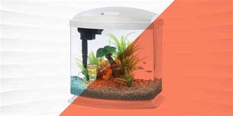 9 Best Fish Tanks for Keeping Your Scaly Friends Happy.